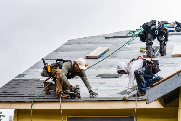 Professional Emergency Roof Repair technician working in Potterville, MI